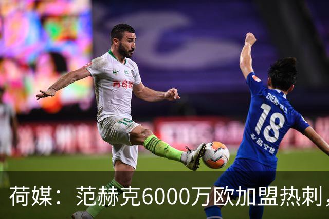 荷媒：范赫克6000万欧加盟热刺，用转会分成帮母队布雷达打破纪录